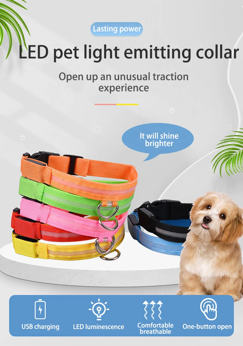 Factory Custom Led Lights Dog Pets Collars In Night Pet Dog Cat Puppy