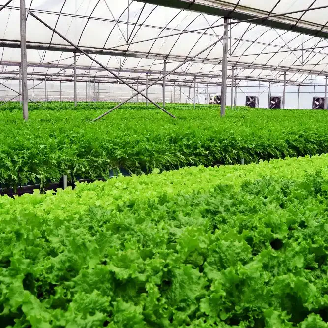 High Quality Vertical Hydroponic Nft System Nft Hydroponics Pvc Channel for Hydroponic