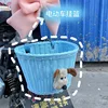 Azzurro cielo + capo cane