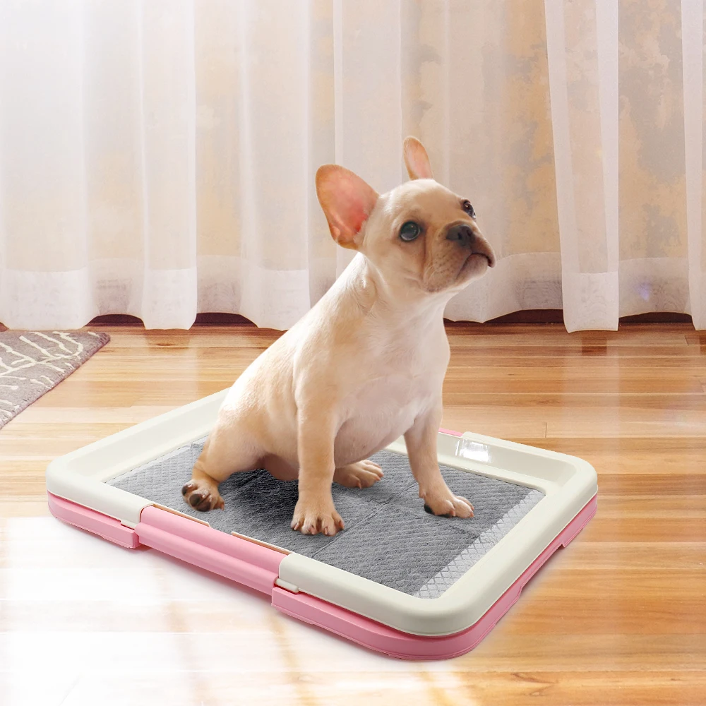 puppy training tray