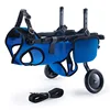 Cjc17 bleu