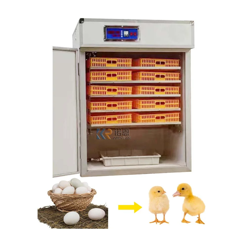 Factory High-accuracy Egg Incubator in Morocco Solar Automatic 150000