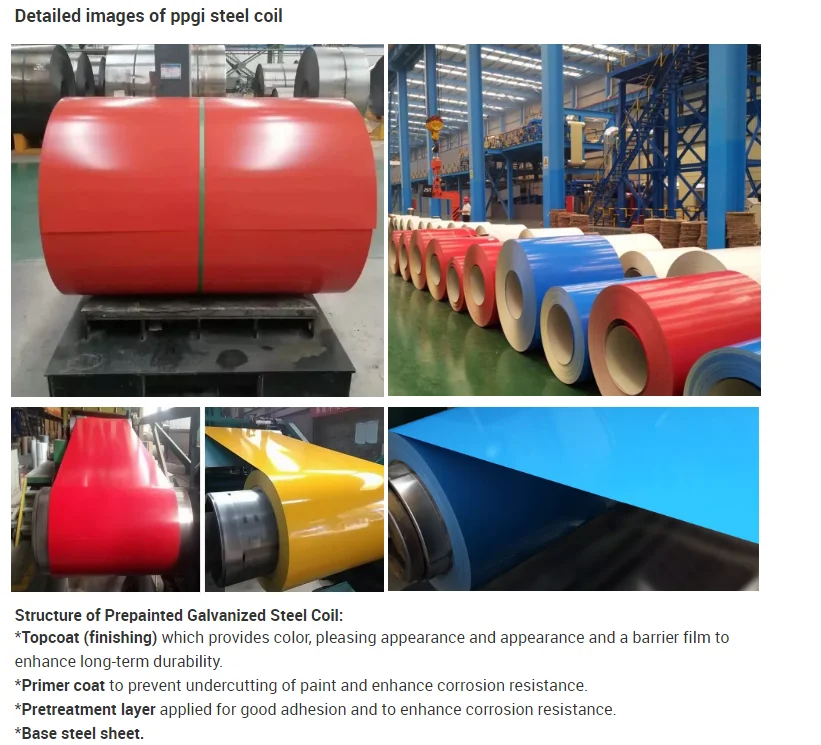 prepainted Cold Rolled Steel Coil prepainted Cold Rolled Steel Coil
