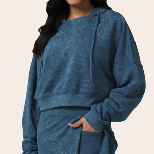 Loose Design Windproof Retro-style Women's Crop Fitted Hoodie Embroidered Printed Logo Front Back Autumn Winter