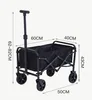 Mini size black-relatively small