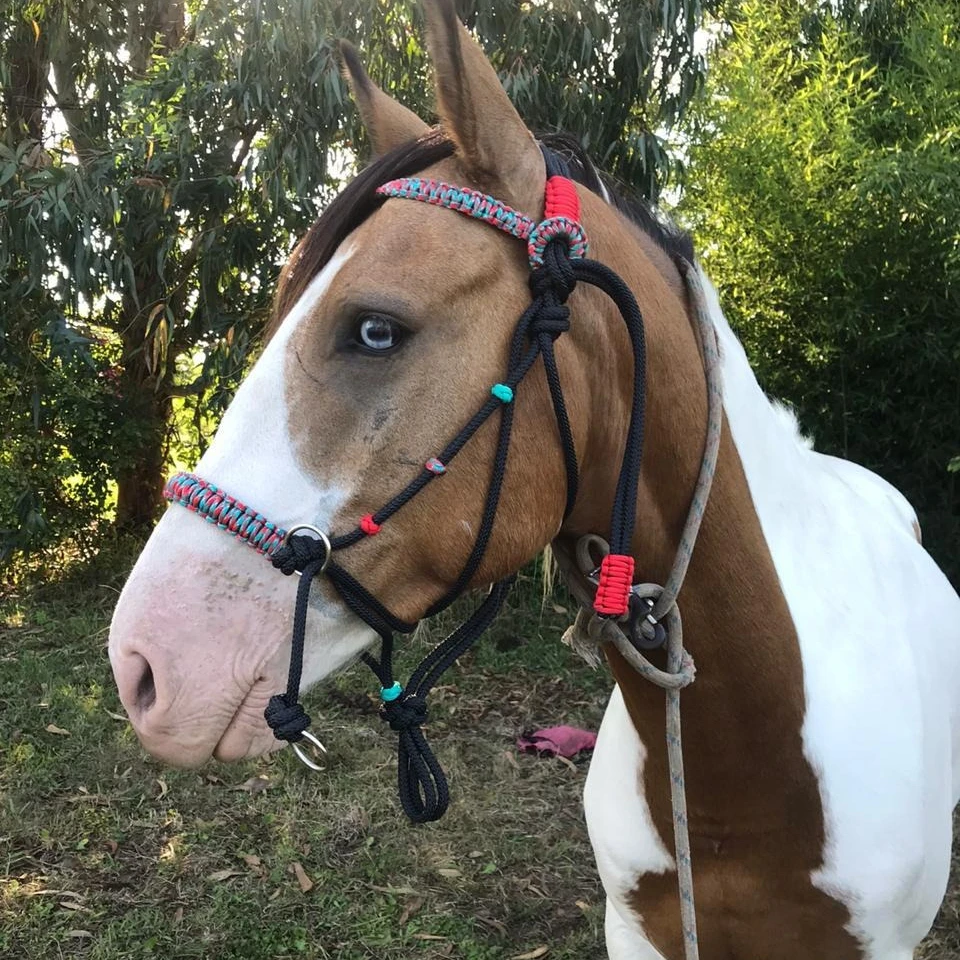 Paire De Colliers De Harnais Pour Cheval – Mirza 1973 – Taille 21 – Neufs