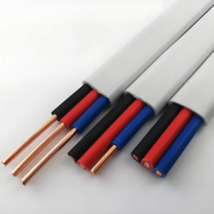 Factory Direct  BVVB Twisted Pair and Ground Wire 1.5mm 2.5mm 4mm Copper Core 2/3 Core PVC Insulated BVVB Household Wire