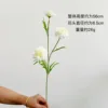 fiore selvatico [bianco]