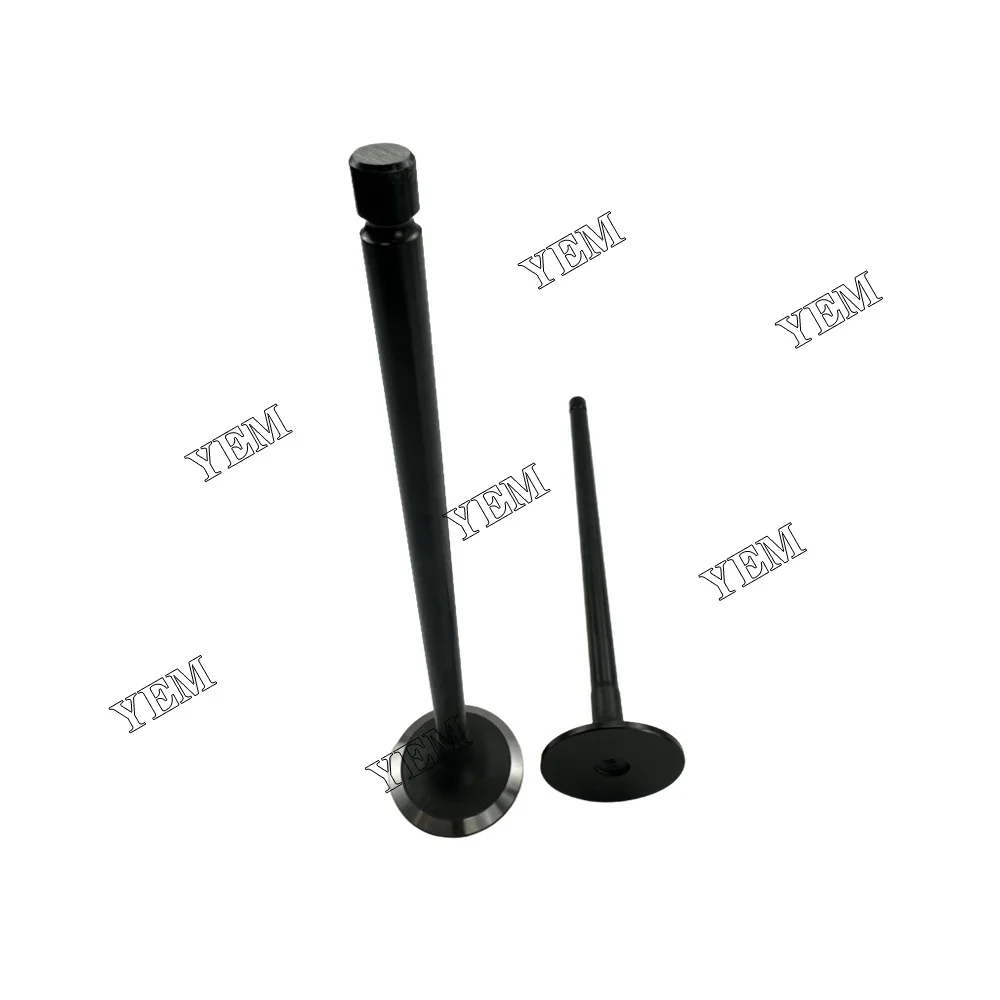 D6CB Intake Valve for Hyundai Engine Parts Stock Complete 4