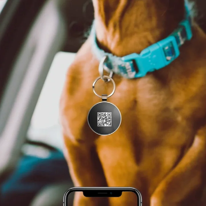 Custom Nfc Chip Qr Code Pets Id Tags For Dogs And Cats Buy Nfc Tag