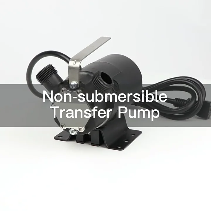 Multi Purpose Oil Free Motor Safe Mini Transfer Water Pump Non