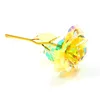 Yellow roses