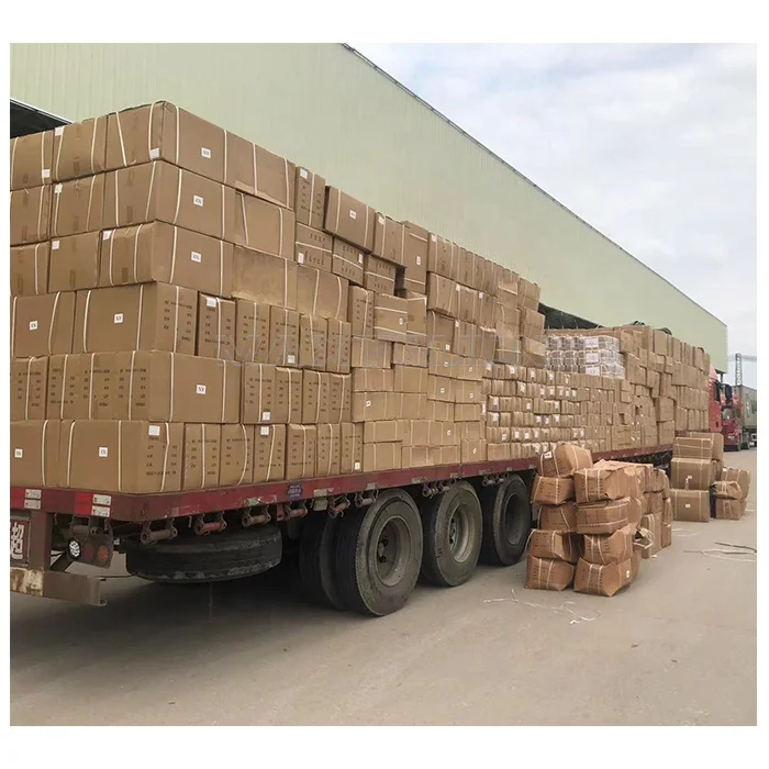 KARNO Factory Price Truck Parts Oem 1699168 1532480 1537109 1616361 1643080 Fuel Filter Insert for DF XF95 XF105