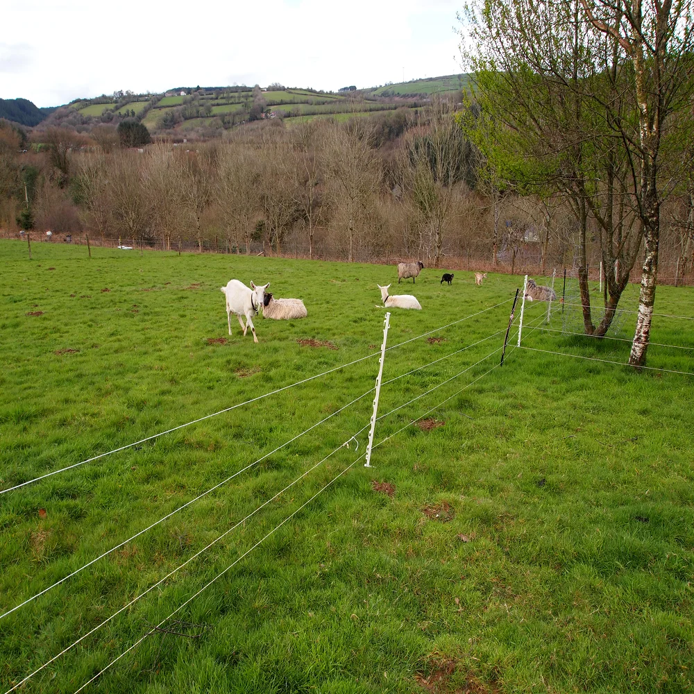 Оптовая продажа, 358, ограждение от восхождения с электрическим забором для дома