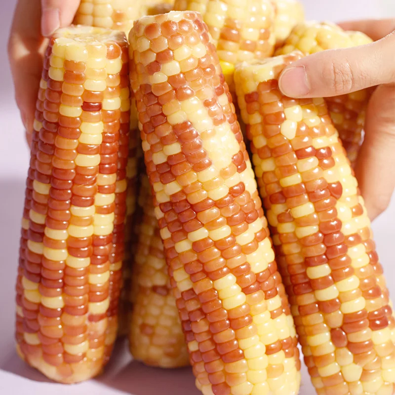 Boiled Ready to Eat Corn Maize Waxy Corn