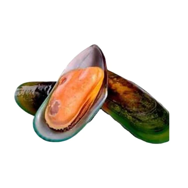 half shell mussel for sale