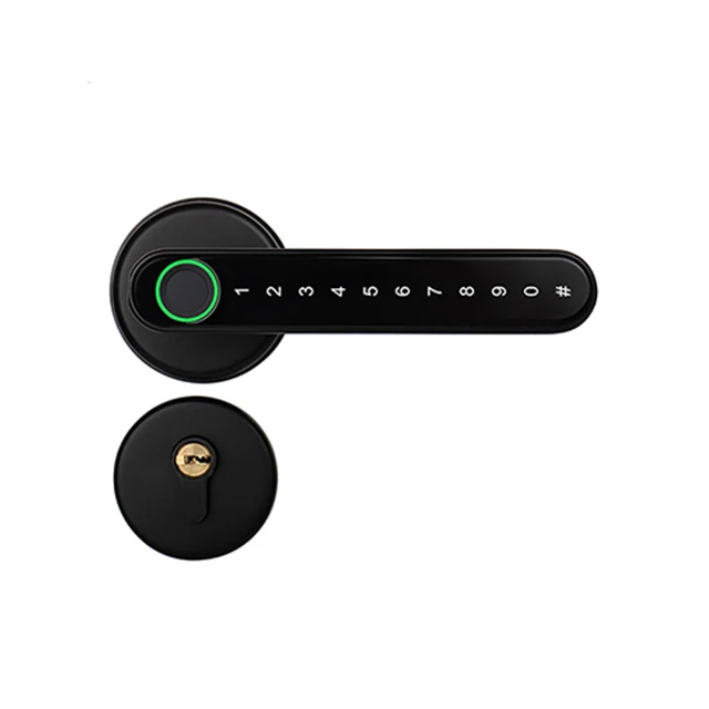 TTLOCK Single Handle Apartment Smart Fingerprint Lock