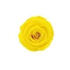 Golden Yellow