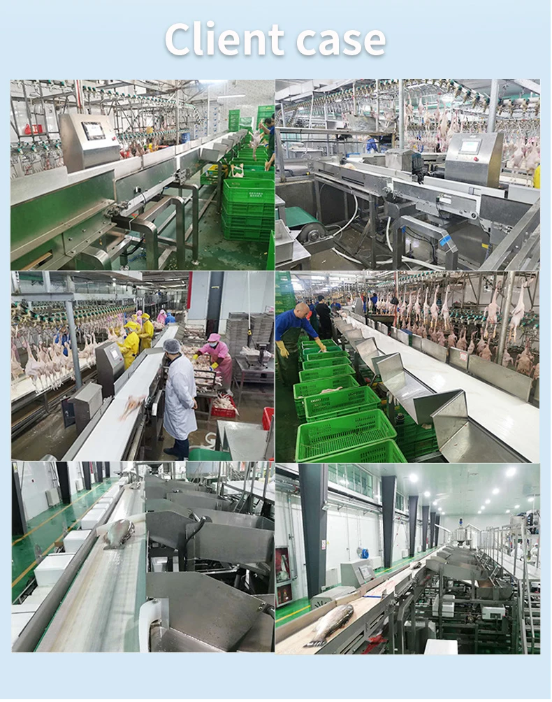 Bill Metal Down Sorting Machine