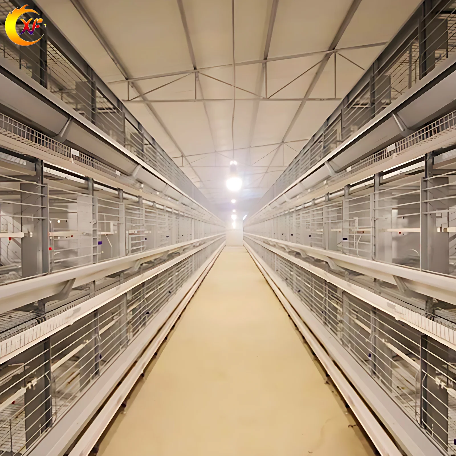 Factory Direct Sale Breeder Laying Hens Rooster Battery Cage Chicken