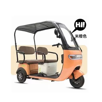 2024 New Adult Passenger Moteur Scooter Electric Tricycle With Canopy For Adult