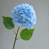 Azul claro