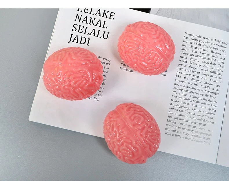 High Quality Soft TPR Brain Fidget Ball Anti-Stress Organ Shape Squeeze Toy for Age Range 5-7 Years