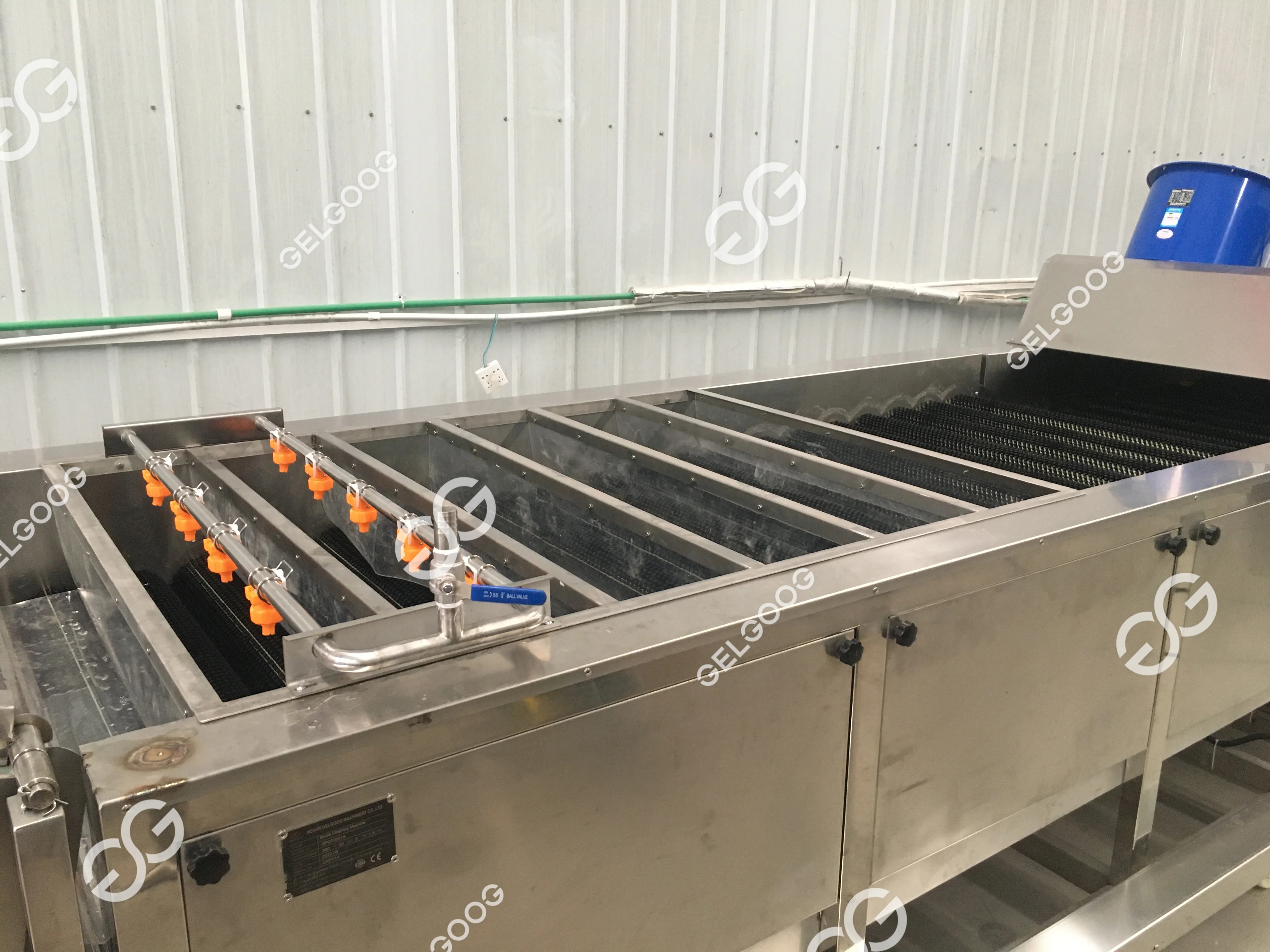 Commercial Avocado Fruit Cleaning Drying Sorting Waxing Processing Line Fresh Fruit Mango Apple Cleaning Machine