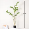 Water Stone Ficus - 180cm