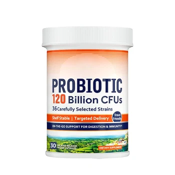 OEM Private Label Gut Health Supplement Probiotic Supplements 60 Probiotic Capsule