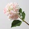 Rosa claro