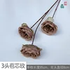 3-headed bract rose YB 15 brown