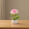 Gradazione Rosa Rosa (Grande Formato) Piccola Pianta in Vaso