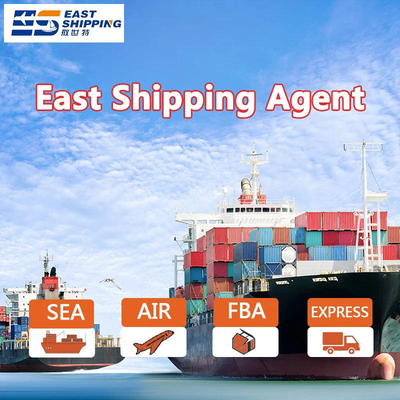 Cheapest Sea Freight Forwarder From China to South America Brazil Mexico Cargo Services Dangerous goods Sea Shipping