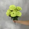 9 rose di diamanti