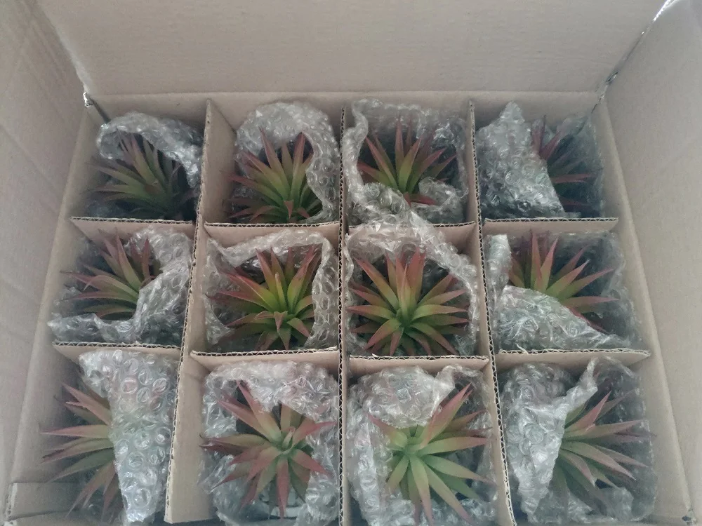 
 Декоративный Мраморный горшок для цветов, искусственные растения-суккуленты  