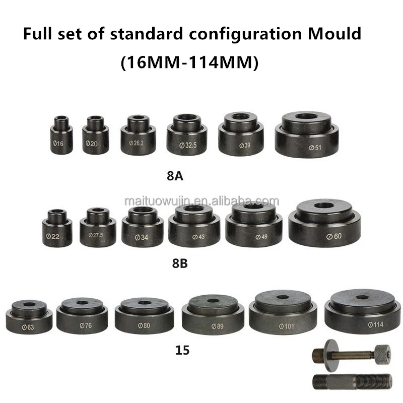 MOULD.jpg