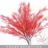 Rama de flor de cola de fénix simulada de cuatro puntas rojas