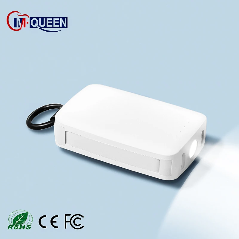 Personnalisable 2 Cables Type C Emergency Mobile Small Portable Charger Mini Keychain Power Bank 4000mah With Logo