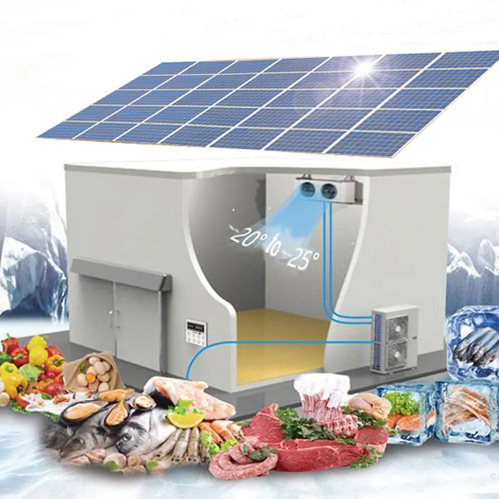 20ft 40ft Solar Powered Cold Storage Container Refrigeration Unit Price ...