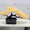 54# Beauty Pine Champagne (12 rectangulares marrones)