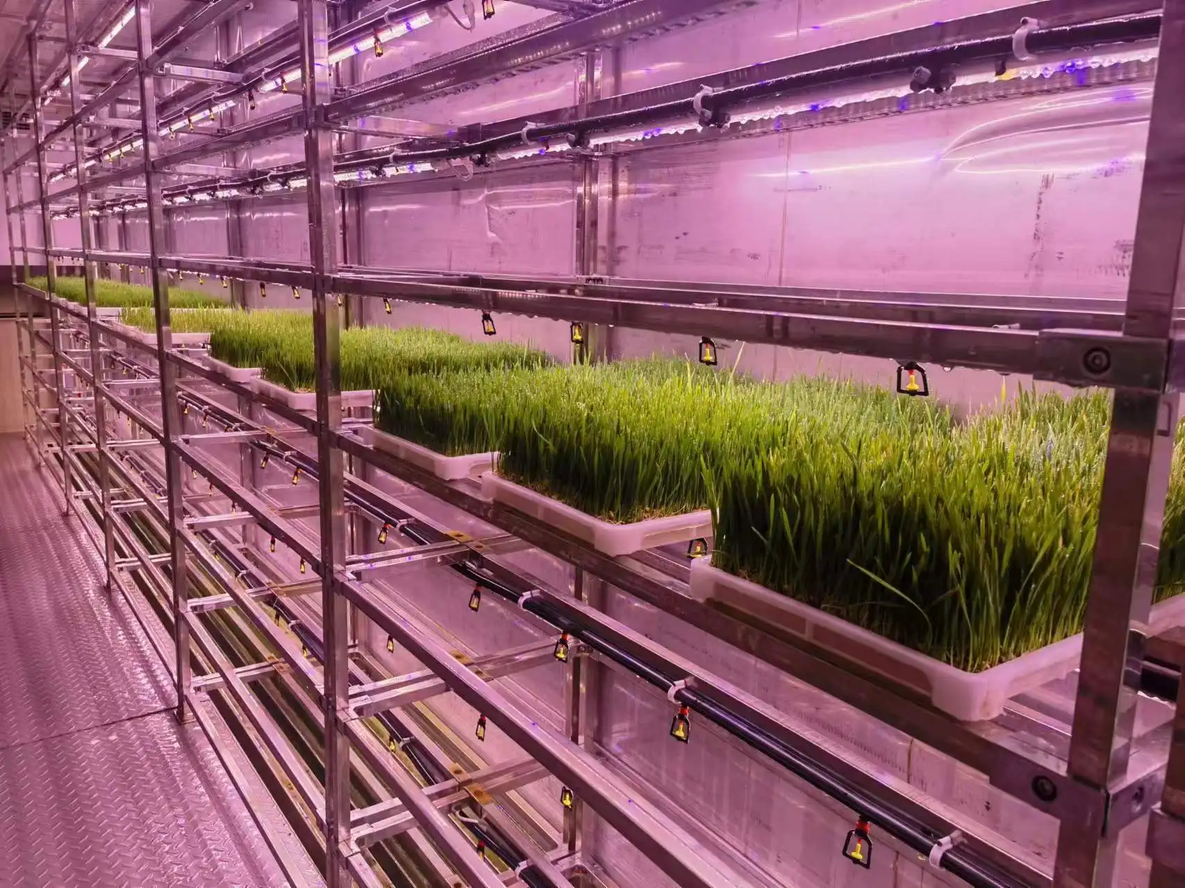 Smart Farm Shipping Container Farm - Vertical Hydroponic Growing System