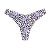 Purple Leopard