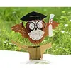 Owl Graduation