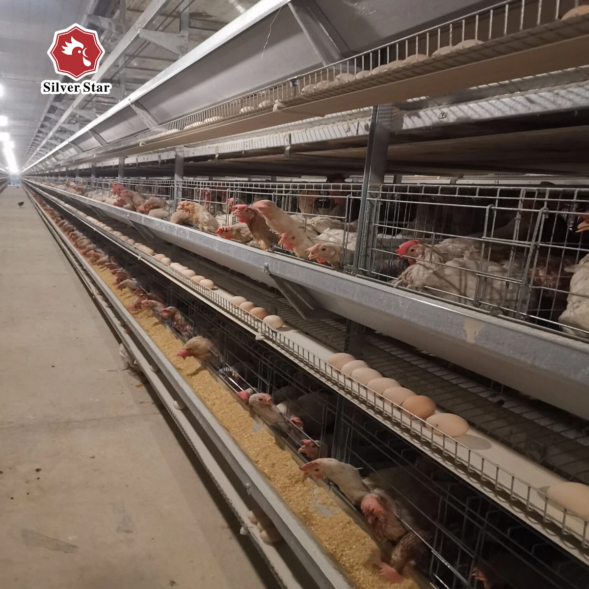 Оптовая продажа клетки для разведения кур слой клетка