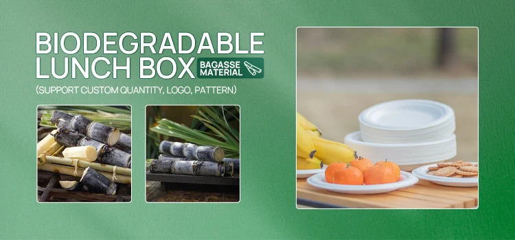 Wholesale Sugarcane Bagasse Paper Pulp Mould Biodegradable Plates Bulk ...