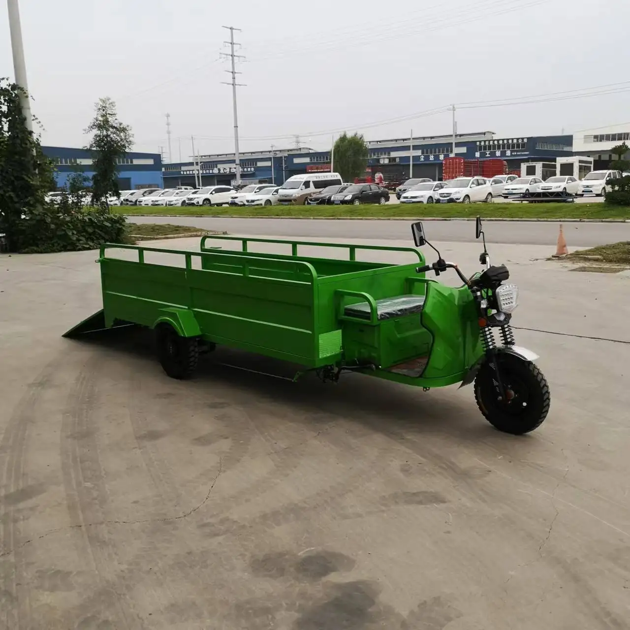 250cc Motorized Gasoline Three Wheel Tricycle For Cargo Tricycle Africa South America Market