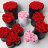 Pink 7Roses Heart