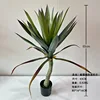 Nuevo agave verde de 65 cm