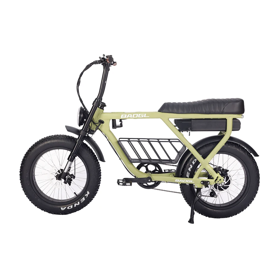 Baogl New Lafly 1000W Electric Bike 48V 20Ah Lithium Battery, 7